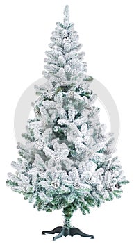 Christmas tree on white background isolate