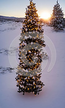 A Christmas Tree In A Snowy Desert, Illuminated By The Setting Sun. Generative AI