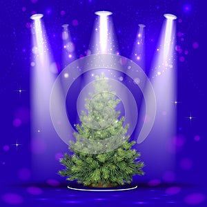 Christmas tree in the spotlight