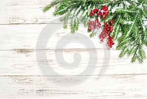 Christmas tree sprigs with red berries and snow. Winter holidays