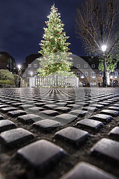 A Christmas tree in the St. Katherine`s Dock area in London photo