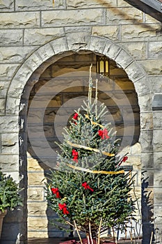 Christmas Tree in Stone Archway of Church