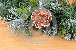 Christmas tree and strobile