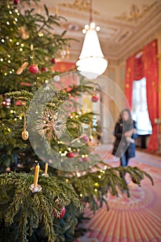 Christmas tree in sumptuous palace room