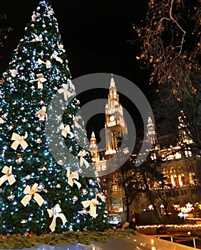 Christmas tree and tall gothic building of Vienna city hall Rathaus