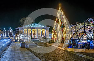 Christmas Tree in Town Hall square