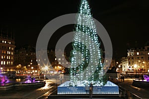 Christmas Tree in the Trafalgar Square