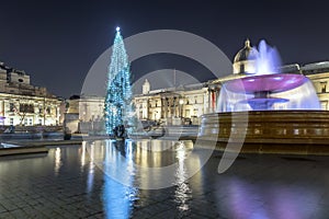Christmas Tree in the Trafalgar Square in London, UK