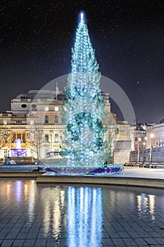 The Christmas Tree on Trafalgar Square on London, United Kingdom