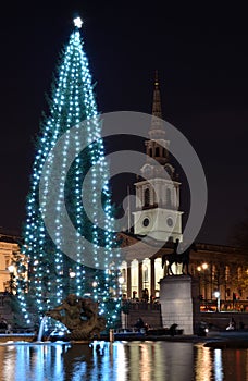 Christmas Tree on Trafalgar Square photo