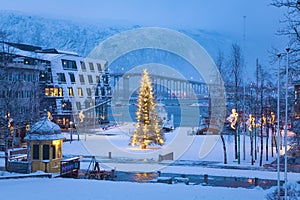 Christmas Tree in Tromso  Norway, Christmas in Tromso