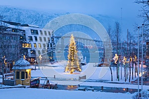 Christmas Tree in Tromso  Norway, Tromso At Winter Time, Christmas in Tromso