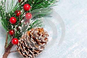 Christmas tree twig with cone macro