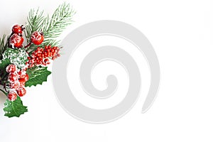 Christmas tree twig with red berries and holly leaves on a white background, copy space