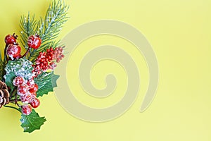 Christmas tree twig with red berries and holly leaves on a yellow background, copy space