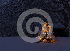 Christmas tree under snow with lights glowing