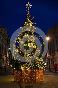 Christmas tree on Waterloo Place in London, England