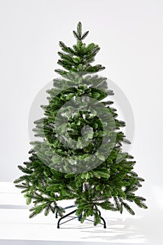 Christmas tree on a white background without decorations