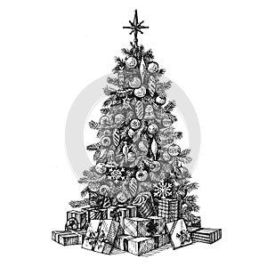 Christmas tree on a white background. sketch