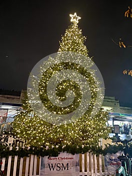 Christmas tree in Wimbledon