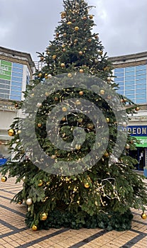 Christmas tree in Wimbledon