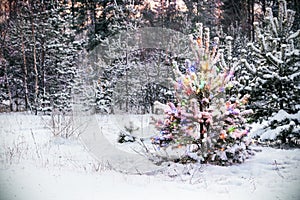 Christmas tree in winter forest with colored lights