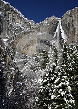 Christmas Tree and Yosemite Falls