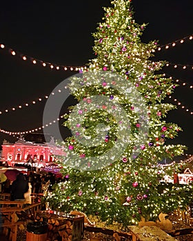 Christmas Tree; Zurich; Christmas Time; Winterurlaub in der Schweiz