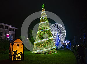 Christmas trees in Bournemouth gardens