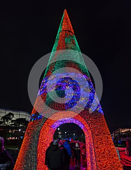 Christmas trees in Bournemouth gardens