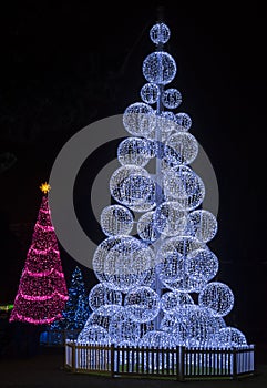 Christmas trees in Bournemouth gardens