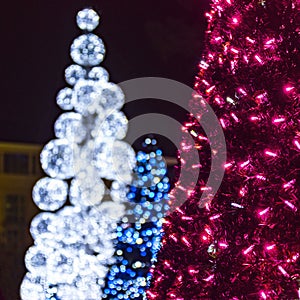 Christmas trees in Bournemouth gardens