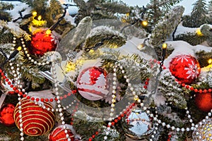 Christmas trees decorated with balls and lights, garlands covered with snow