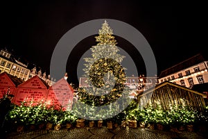 Christmas Trees at German Christmas markets photo
