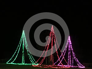 Christmas trees illuminated with colored bulbs Happiness Illusion Party photo