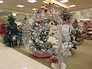 Christmas Trees macys store