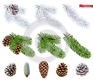 Christmas trees and pine cones. 3d realistic vector icon set