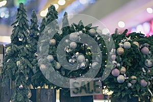 Christmas trees sale in market, holiday trade