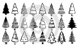 Christmas trees set in a simple style hand drawn