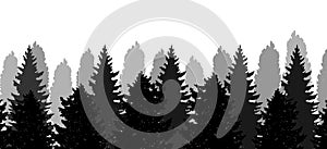 Christmas Trees, silhouette of forest, vector