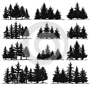 Christmas trees silhouettes. Spruce nature fir trees, coniferous forest evergreen pines isolated vector illustration set photo