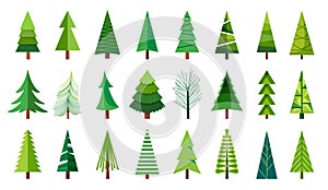 Stromy. skica čmáranice borovice strom. ilustrace ručně malovaná umění 