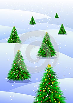Christmas trees in snow