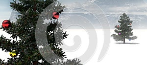 Christmas trees in snowfield photo