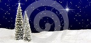 Tri Vianočné stromy stáť v snehu oblasti zdobené biele hviezdy, nočnej oblohe s mnohých malých hviezd a jeden veľký jasné hviezdy.