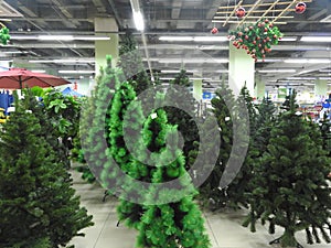 Christmas trees in the store