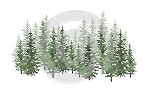 Christmas trees watercolor hand drawn seamless background texture.