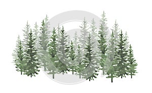 Christmas trees watercolor hand drawn seamless background texture. photo