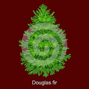 Christmas vector tree like douglas fir for New year celebration without holiday decoration, evergreen xmas plants photo