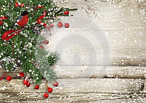 Christmas vintage wooden background with fir branches, bullfinch